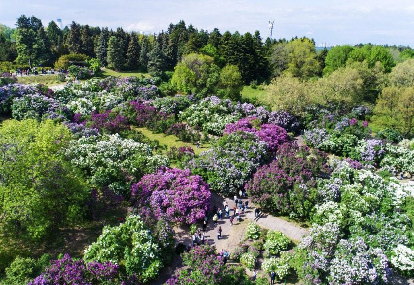 Dnipropetrovsk National University Botanic Garden, Ukraine